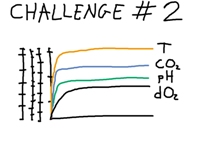 Challenge_2_200X200.jpg